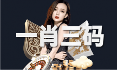正版蓝月亮精选材料大全免费
