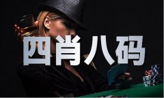 48111看图解暗码V