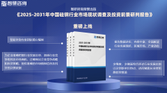 2025版中国硅钢行业成长示状及投资前景研究演讲